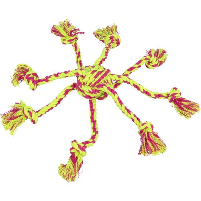 Jouet multicordes