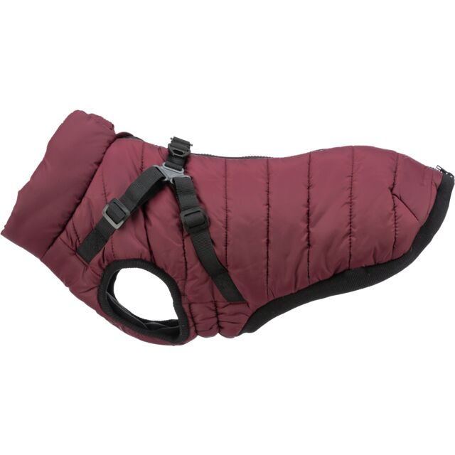 Manteau Pirou sangria avec harnais