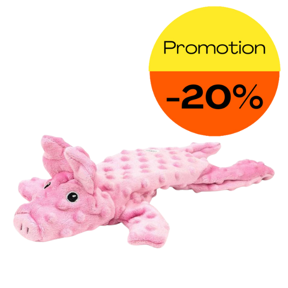 DOGMONSTER COCHON