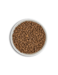 PUPPY ERA MILLEMIUM MEDIUM