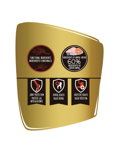 ERA ADULT SAUMON LARGE MILLEMIUM