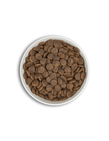 ERA ADULT SAUMON LARGE MILLEMIUM