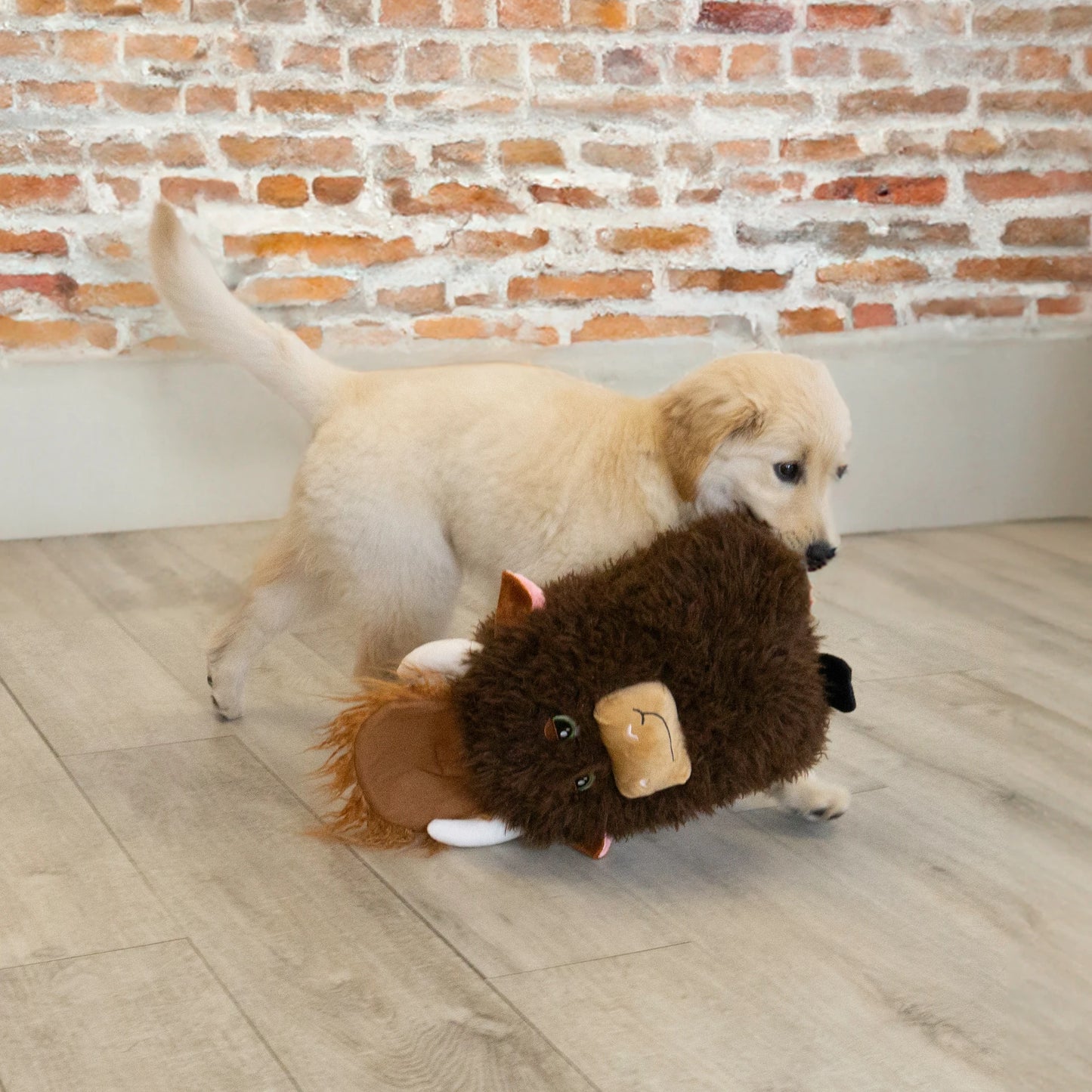 KONG comfort jumbo highland cow