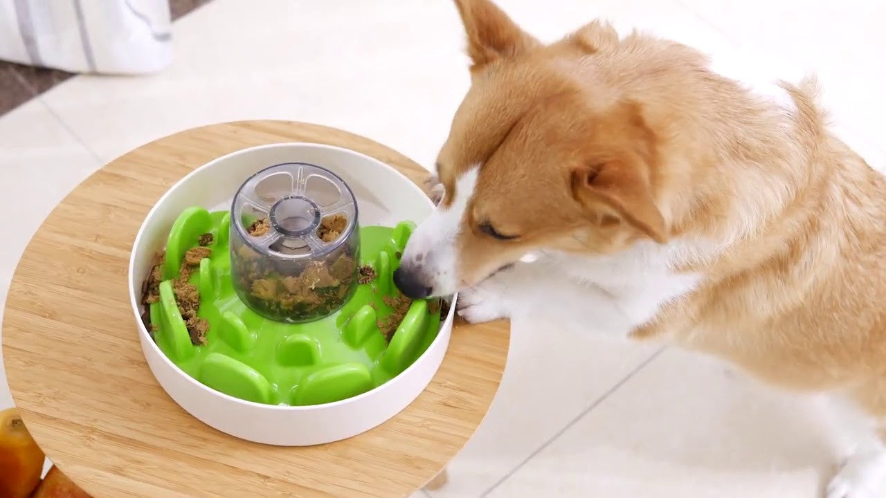 Gamelle anti-glouton tournante