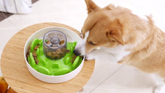 Gamelle anti-glouton tournante