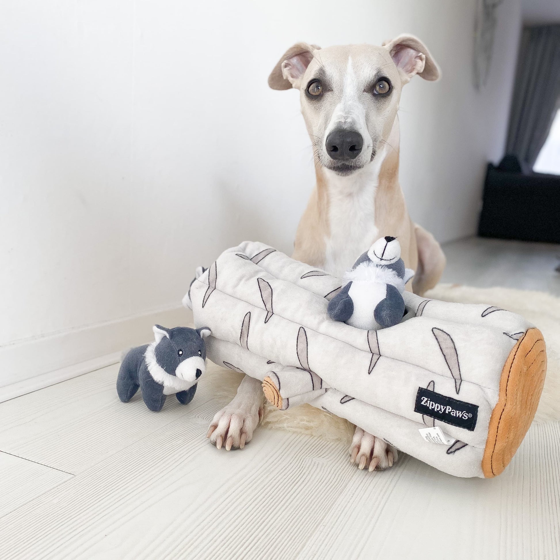 Jouet loup interactif - HAPPY ZOO SHOP