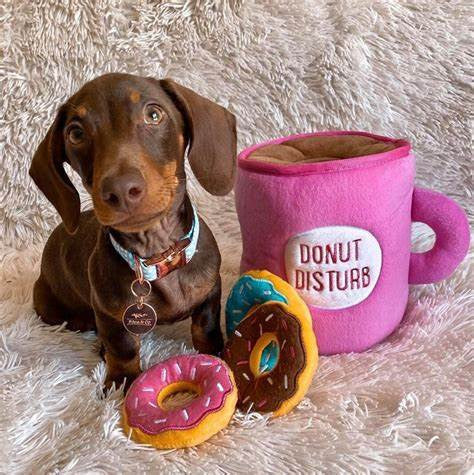 jouet café et donut's - HAPPY ZOO SHOP