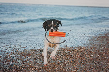 ChuckIt Amphibious Bumper - HAPPY ZOO SHOP