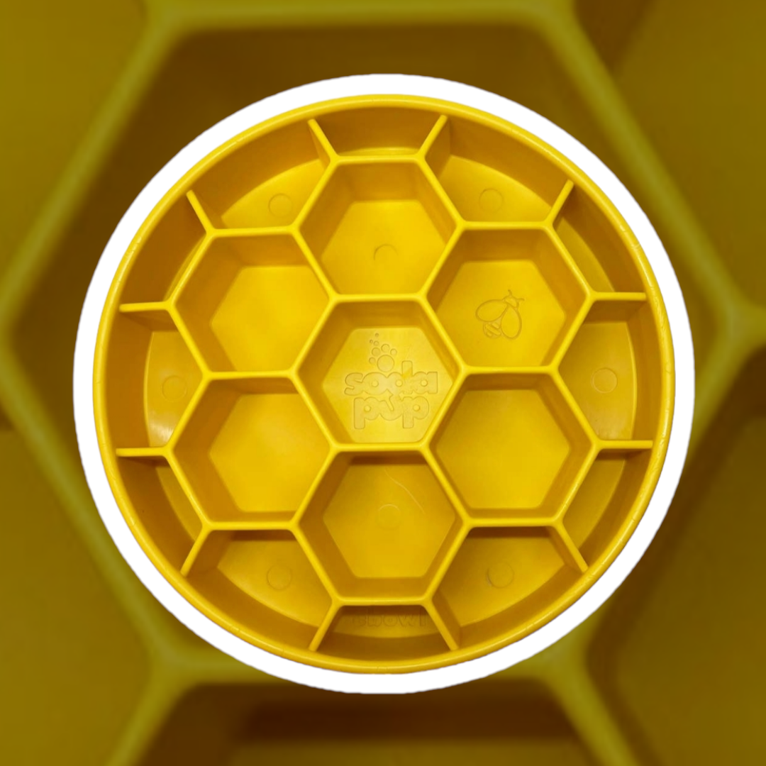 Gamelle anti-glouton honey - HAPPY ZOO SHOP
