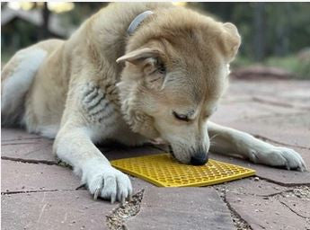 Tapis à lécher honey sodapup