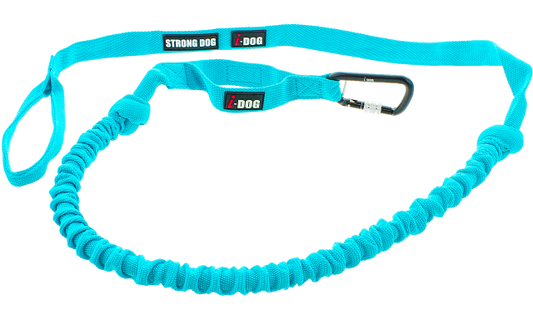 Longe traction opale 190cm - HAPPY ZOO SHOP