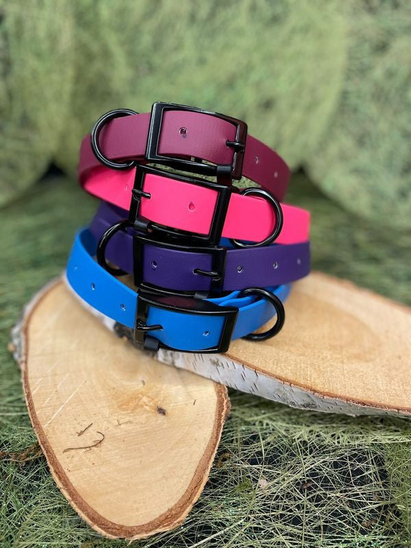 Collier Biothane 25mm - HAPPY ZOO SHOP