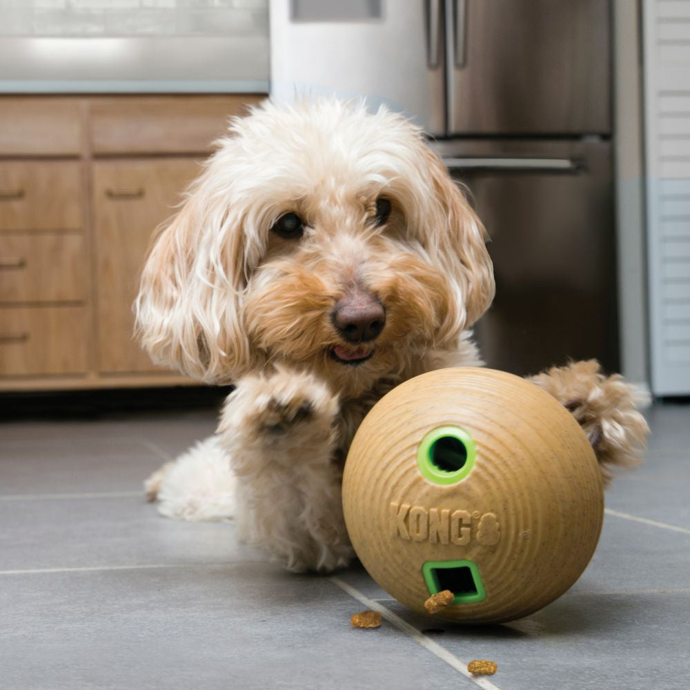 Distributeur Bamboo Kong