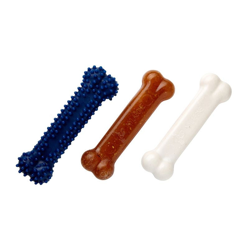 Pack Chiot Starter Nylabone - HAPPY ZOO SHOP